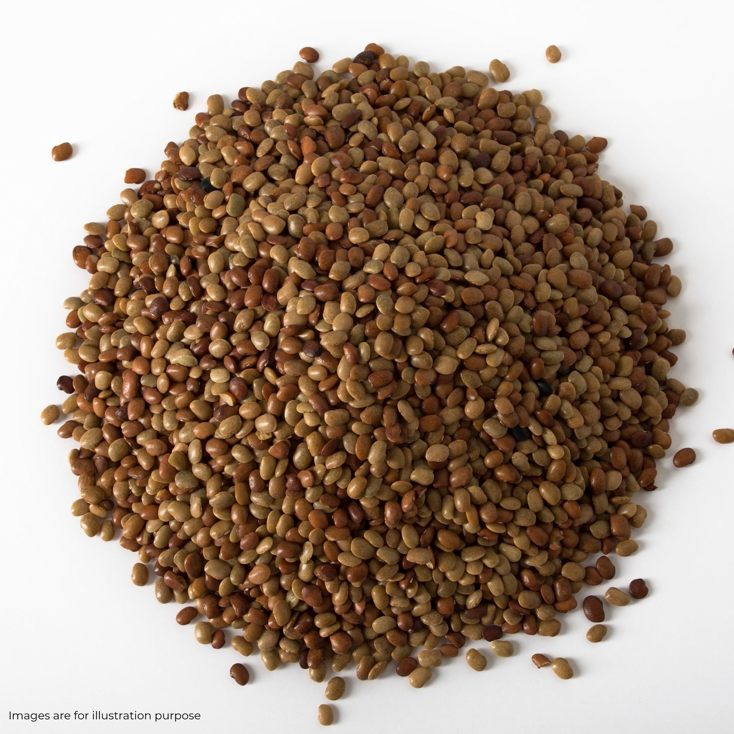 Gahat (Kulthi) Dal (500gm)