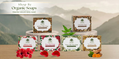 Natural Soap Box – All 6 Variants